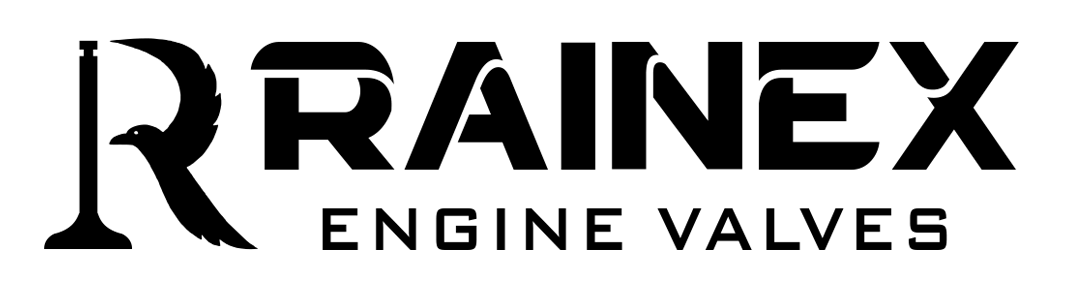Rainex Engine Valves | Motor Subapları